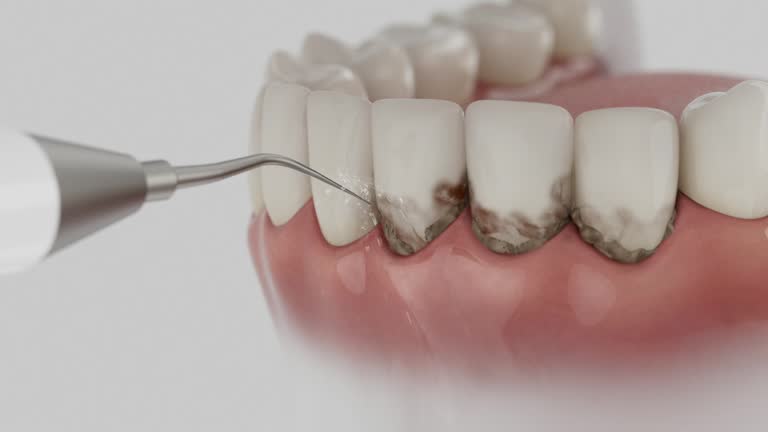 Reliable Dental contractor in Orland Hills, IL by Dentist Open Now